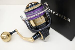 DAIWA（ダイワ） 20 SALTIGA 20000-H ソルティガ SLP WORKSカスタム スピニングリール 買取実績